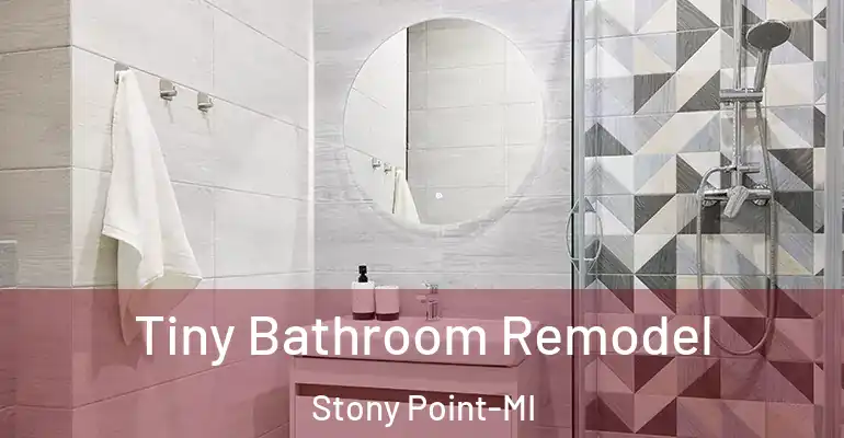 inner Bathroom imggen Tiny Bathroom Remodel Stony Point-MI