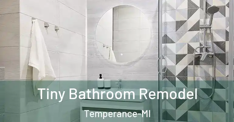 inner Bathroom imggen Tiny Bathroom Remodel Temperance-MI