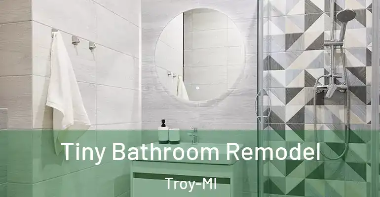 inner Bathroom imggen Tiny Bathroom Remodel Troy-MI