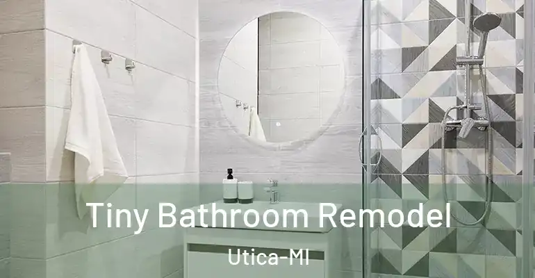 inner Bathroom imggen Tiny Bathroom Remodel Utica-MI