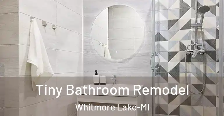 inner Bathroom imggen Tiny Bathroom Remodel Whitmore Lake-MI