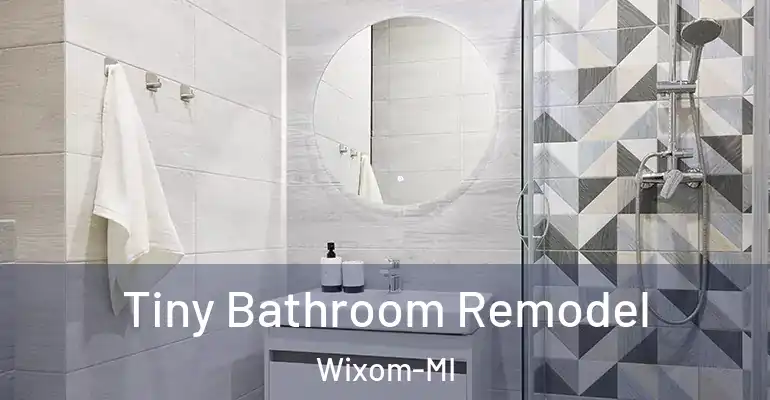 inner Bathroom imggen Tiny Bathroom Remodel Wixom-MI