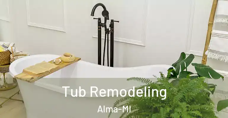 inner Bathroom imggen Tub Remodeling Alma-MI