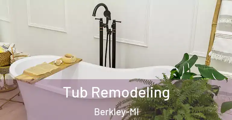 inner Bathroom imggen Tub Remodeling Berkley-MI