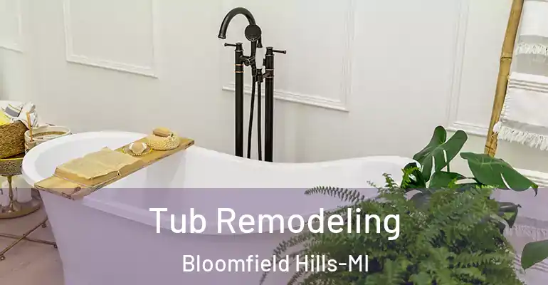 inner Bathroom imggen Tub Remodeling Bloomfield Hills-MI