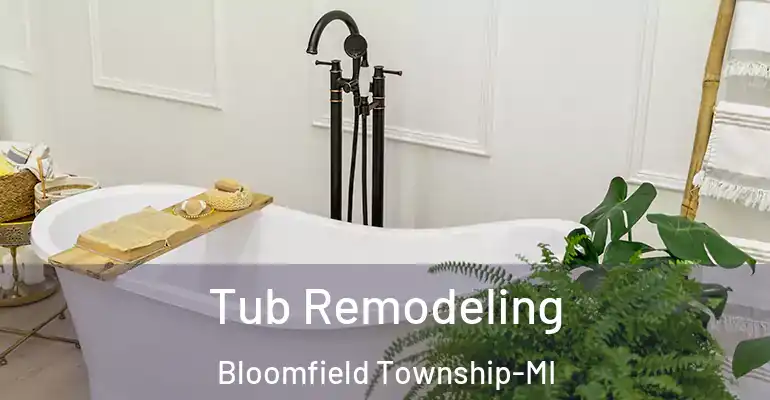 inner Bathroom imggen Tub Remodeling Bloomfield Township-MI