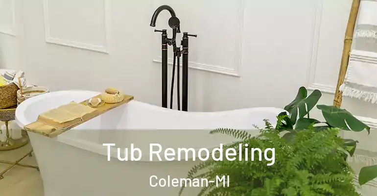 inner Bathroom imggen Tub Remodeling Coleman-MI