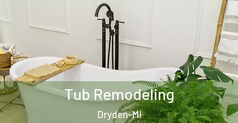 inner Bathroom imggen Tub Remodeling Dryden-MI