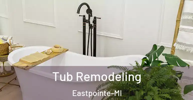 inner Bathroom imggen Tub Remodeling Eastpointe-MI