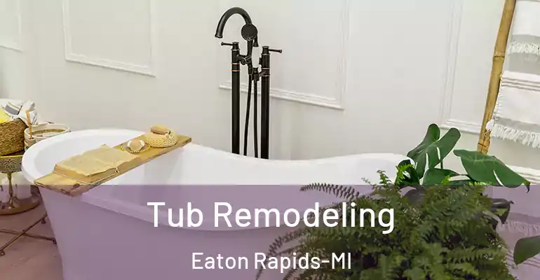 inner Bathroom imggen Tub Remodeling Eaton Rapids-MI