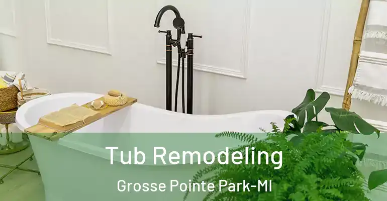 inner Bathroom imggen Tub Remodeling Grosse Pointe Park-MI