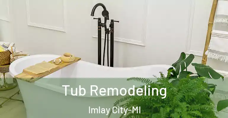 inner Bathroom imggen Tub Remodeling Imlay City-MI