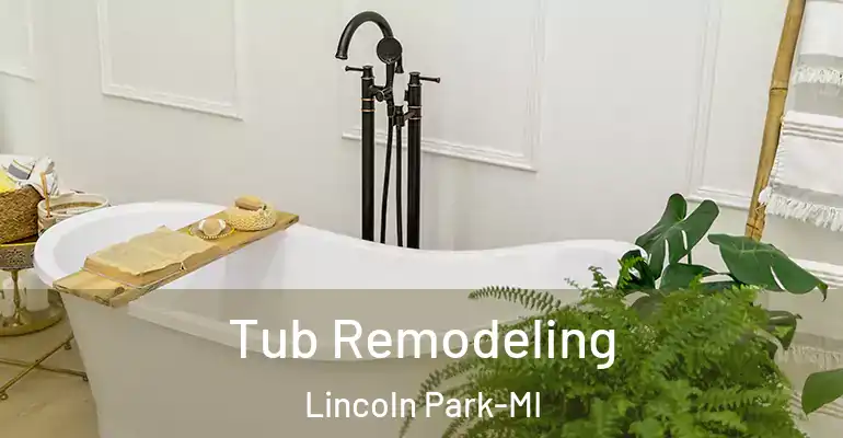 inner Bathroom imggen Tub Remodeling Lincoln Park-MI
