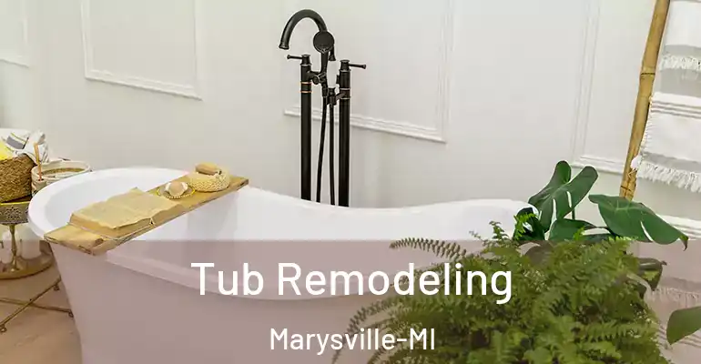 inner Bathroom imggen Tub Remodeling Marysville-MI