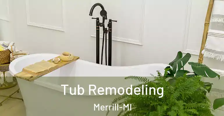 inner Bathroom imggen Tub Remodeling Merrill-MI