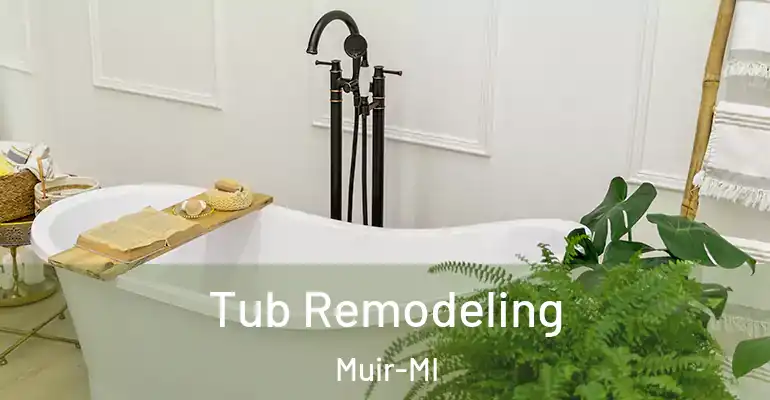 inner Bathroom imggen Tub Remodeling Muir-MI