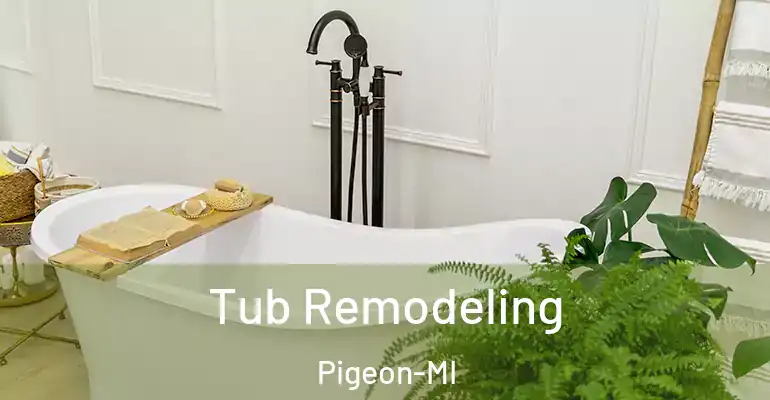 inner Bathroom imggen Tub Remodeling Pigeon-MI