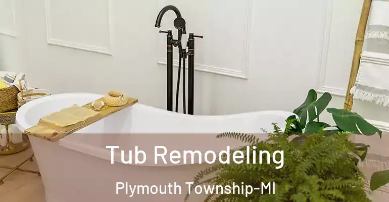 inner Bathroom imggen Tub Remodeling Plymouth Township-MI