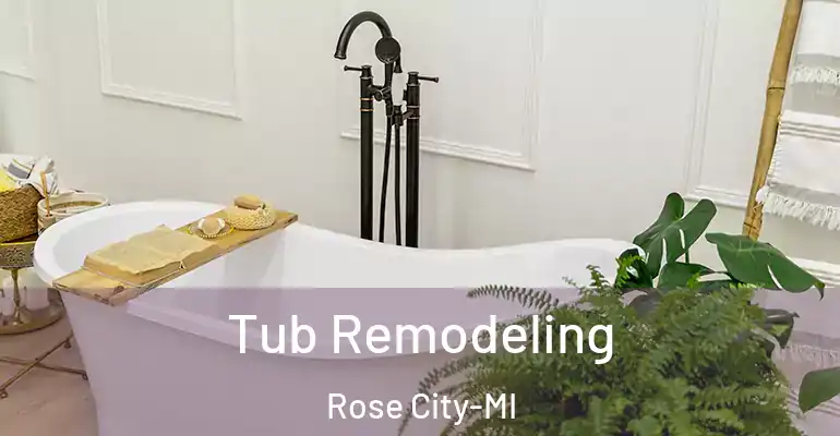 inner Bathroom imggen Tub Remodeling Rose City-MI