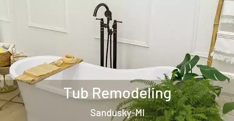 inner Bathroom imggen Tub Remodeling Sandusky-MI
