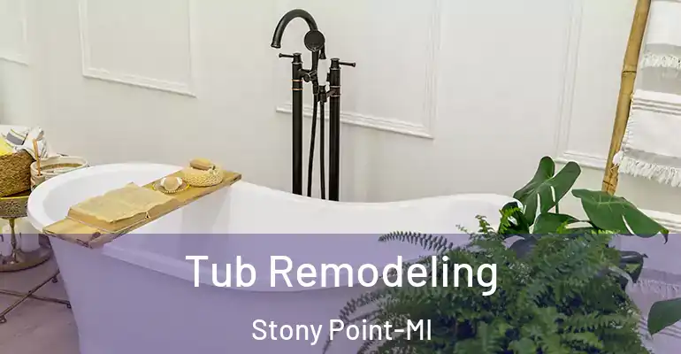 inner Bathroom imggen Tub Remodeling Stony Point-MI