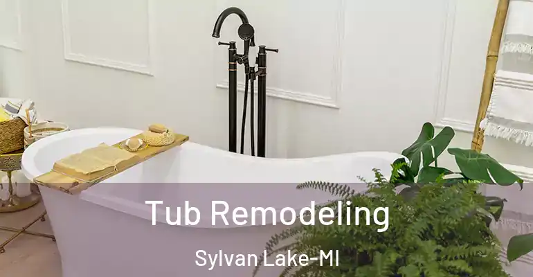 inner Bathroom imggen Tub Remodeling Sylvan Lake-MI