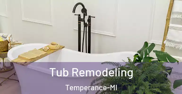 inner Bathroom imggen Tub Remodeling Temperance-MI