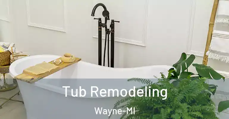 inner Bathroom imggen Tub Remodeling Wayne-MI