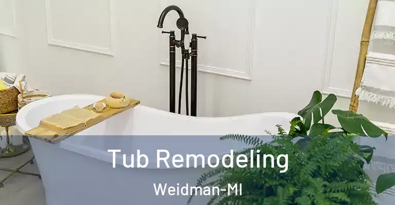 inner Bathroom imggen Tub Remodeling Weidman-MI