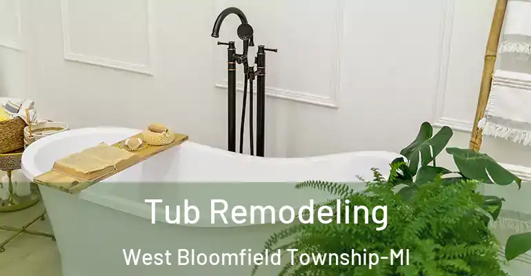 inner Bathroom imggen Tub Remodeling West Bloomfield Township-MI