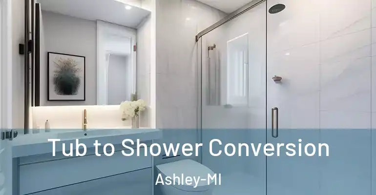 inner Bathroom imggen Tub to Shower Conversion Ashley-MI