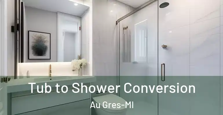 inner Bathroom imggen Tub to Shower Conversion Au Gres-MI