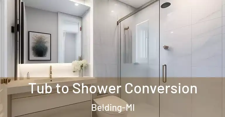 inner Bathroom imggen Tub to Shower Conversion Belding-MI