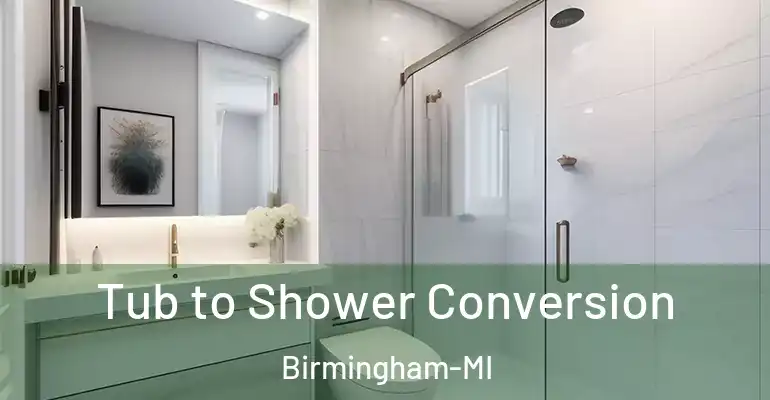 inner Bathroom imggen Tub to Shower Conversion Birmingham-MI