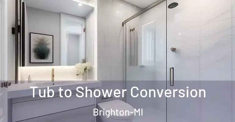 inner Bathroom imggen Tub to Shower Conversion Brighton-MI