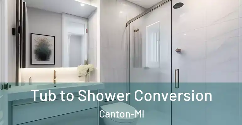inner Bathroom imggen Tub to Shower Conversion Canton-MI
