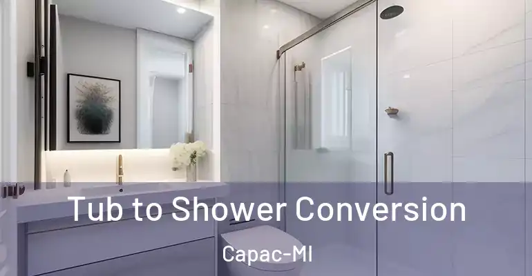 inner Bathroom imggen Tub to Shower Conversion Capac-MI