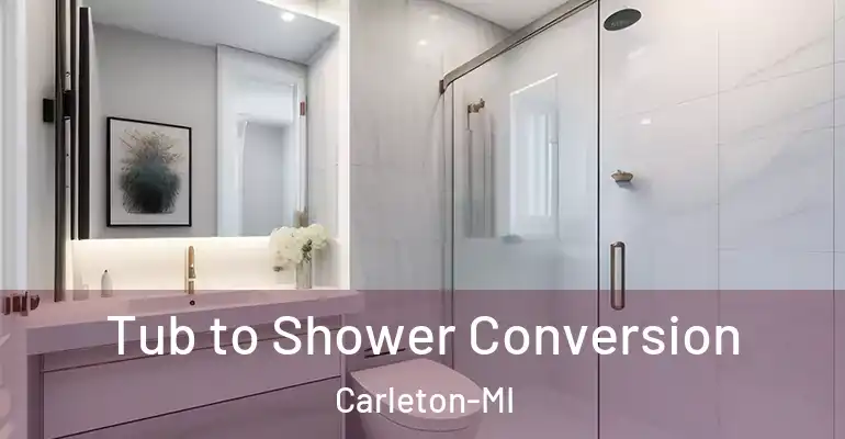inner Bathroom imggen Tub to Shower Conversion Carleton-MI