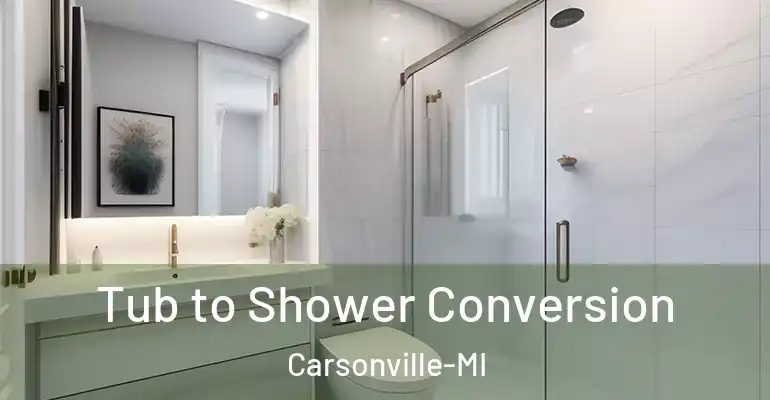 inner Bathroom imggen Tub to Shower Conversion Carsonville-MI
