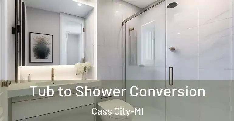 inner Bathroom imggen Tub to Shower Conversion Cass City-MI