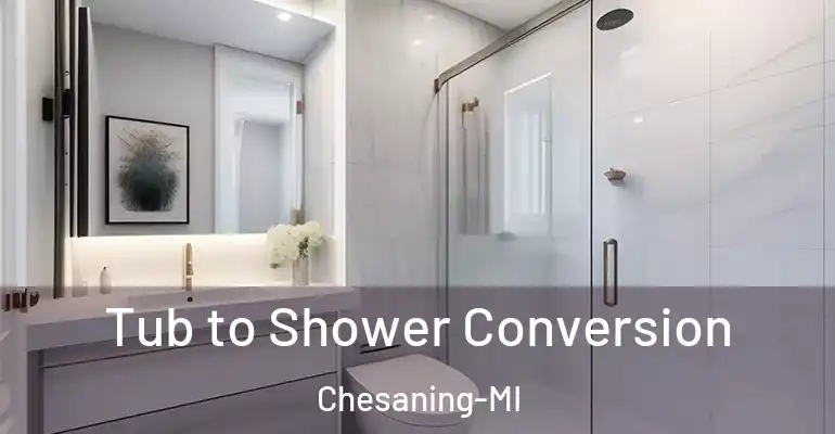inner Bathroom imggen Tub to Shower Conversion Chesaning-MI
