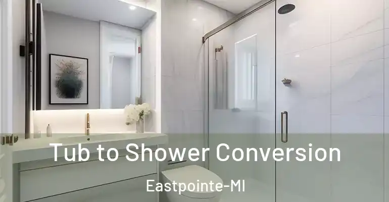 inner Bathroom imggen Tub to Shower Conversion Eastpointe-MI
