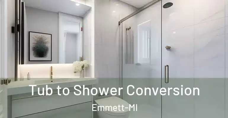 inner Bathroom imggen Tub to Shower Conversion Emmett-MI