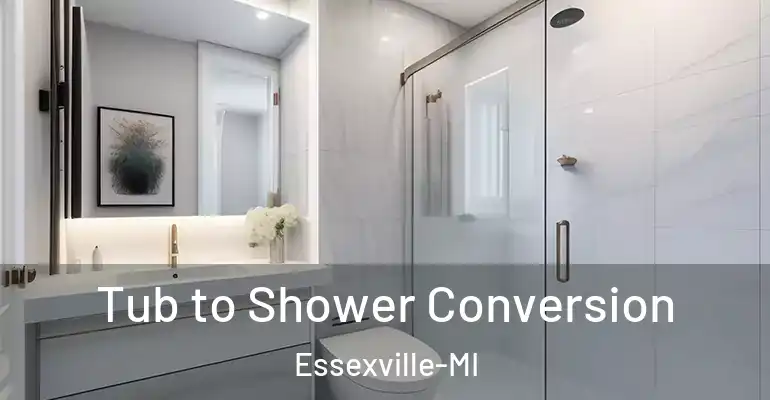 inner Bathroom imggen Tub to Shower Conversion Essexville-MI