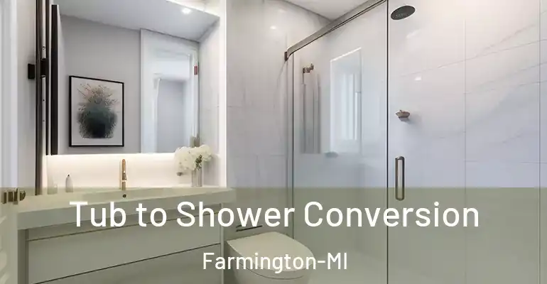 inner Bathroom imggen Tub to Shower Conversion Farmington-MI