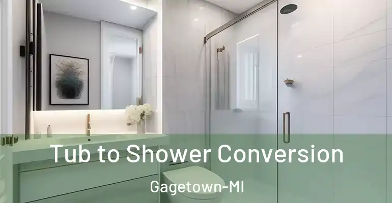 inner Bathroom imggen Tub to Shower Conversion Gagetown-MI