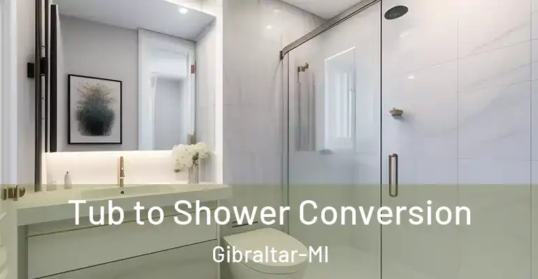 inner Bathroom imggen Tub to Shower Conversion Gibraltar-MI