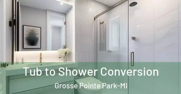 inner Bathroom imggen Tub to Shower Conversion Grosse Pointe Park-MI