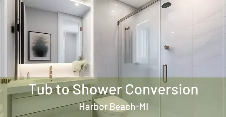 inner Bathroom imggen Tub to Shower Conversion Harbor Beach-MI