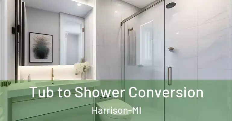 inner Bathroom imggen Tub to Shower Conversion Harrison-MI